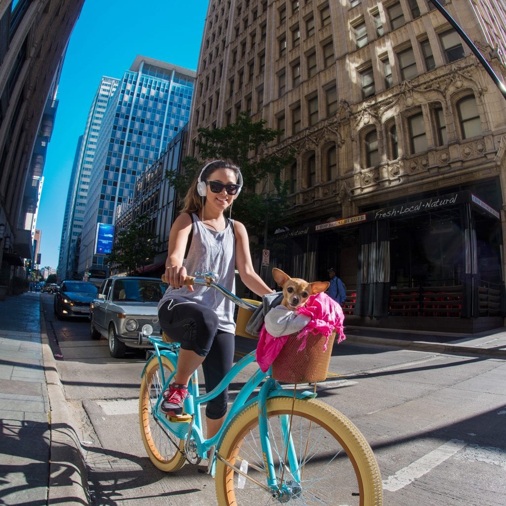 It’s A Dog’s Life