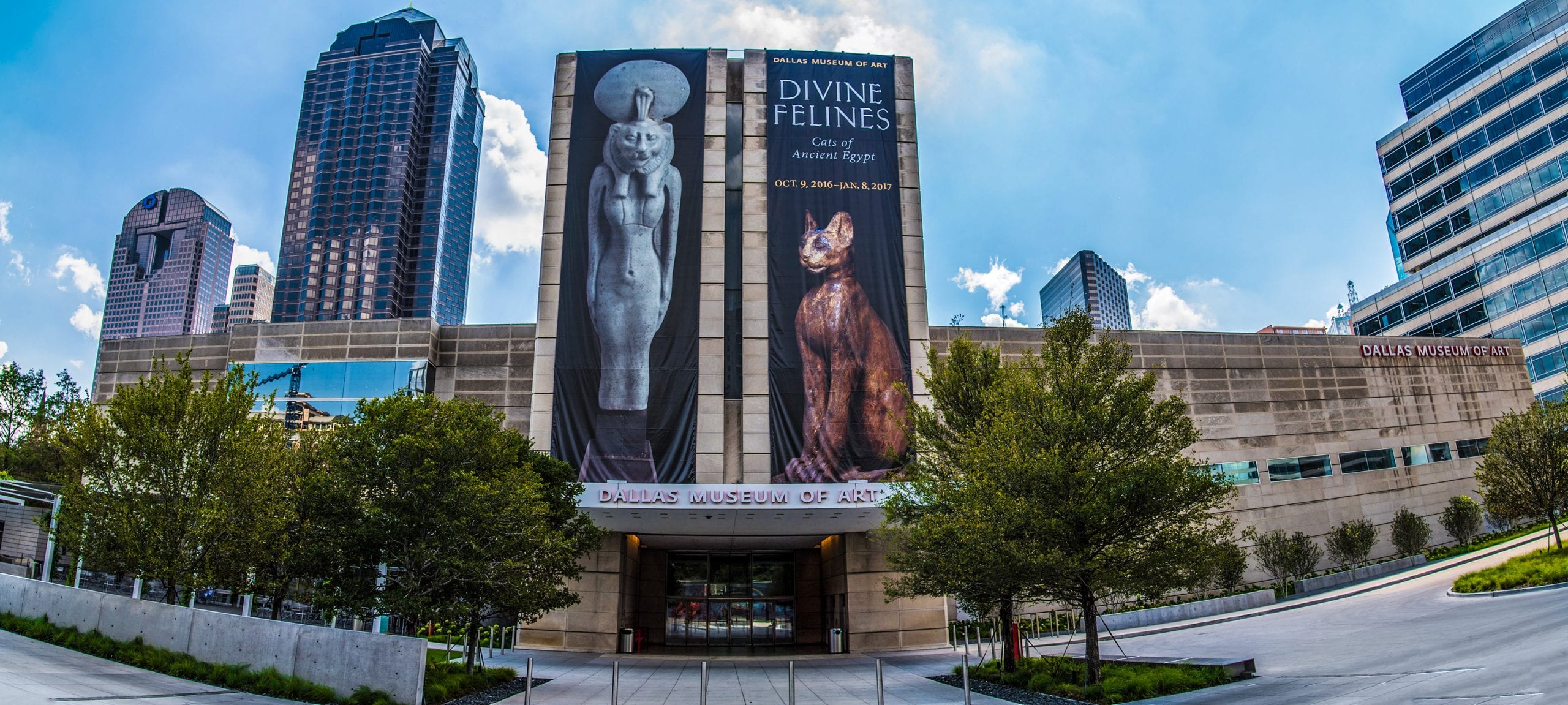 Photo: Dallas Museum of Art