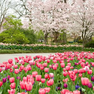 April Events