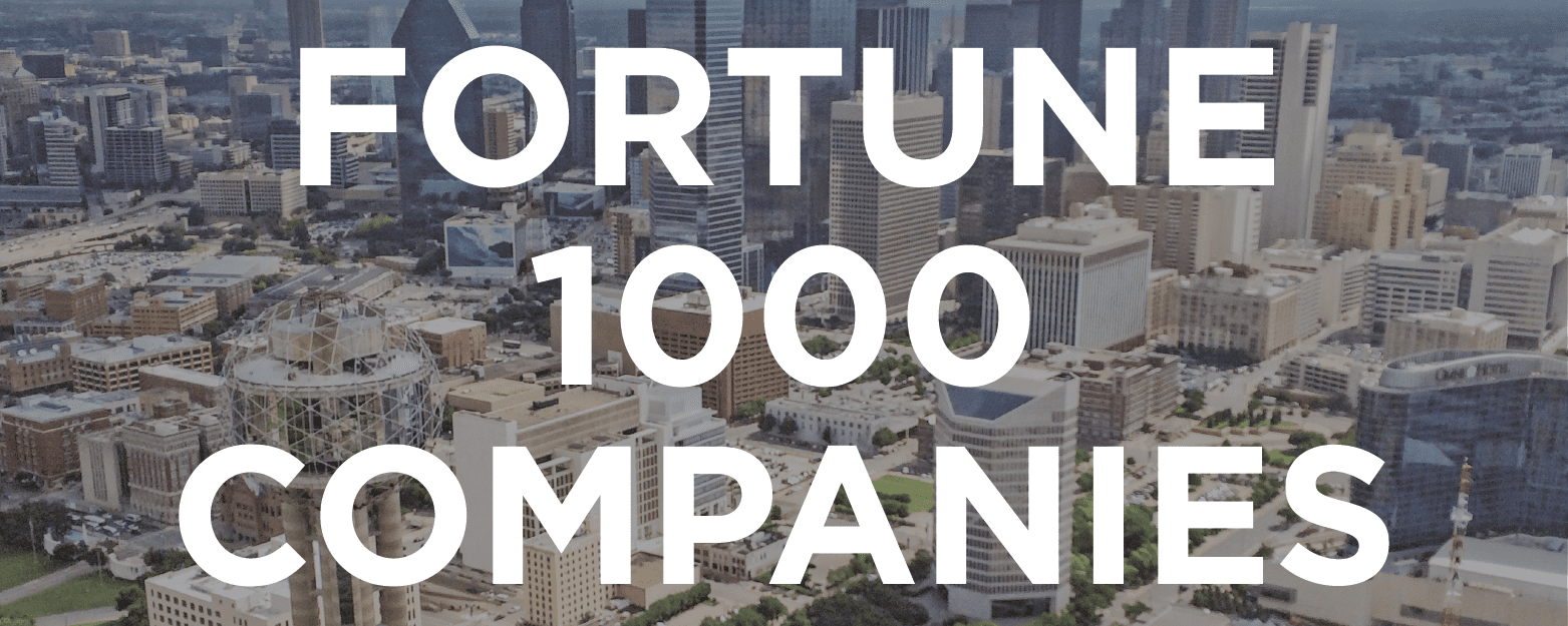 Fortune 1000 companies-01