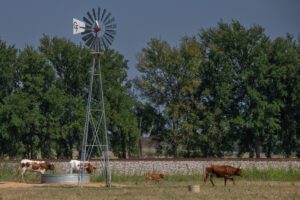 Celina- Photo Credit Phil Sirois