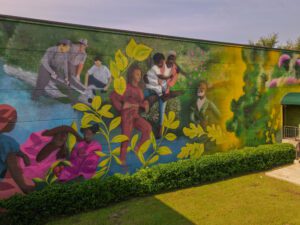 Photo Credit: Phil Sirois