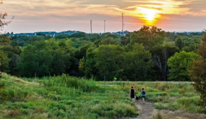 Arbor Hills Nature Preserve