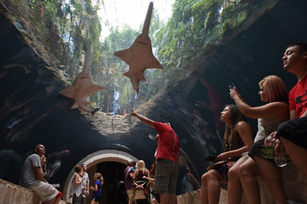 Indoor activities to beat the heat in DFW