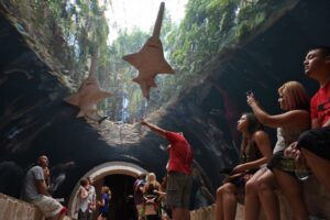 Indoor activities to beat the heat in DFW